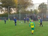 S.K.N.W.K. JO7-1 - Colijnsplaatse Boys JO7-1 (oefen) najaar seizoen 2022-2023 (52/103)